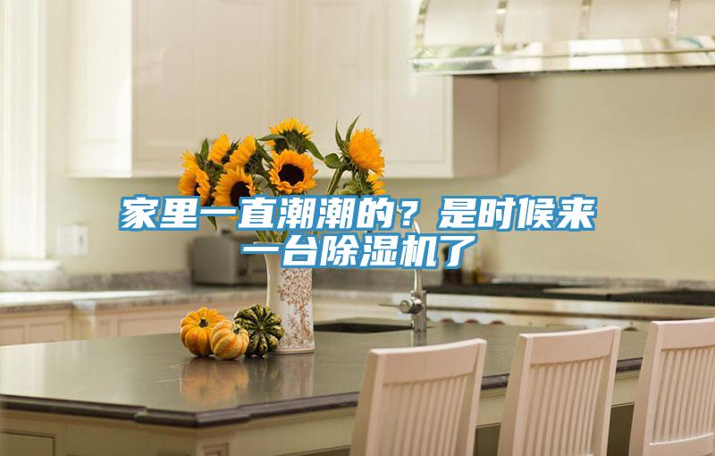 家裏一直潮潮的？是時候來一台91看片软件大全了