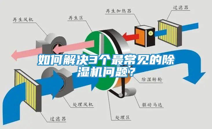 如何解決3個最常見的91看片软件大全問題？