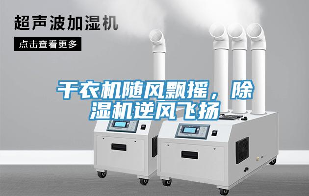 幹衣機隨風飄搖，91看片软件大全逆風飛揚