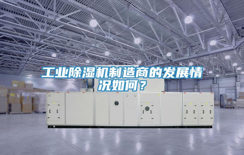 工業91看片软件大全製造商的發展情況如何？