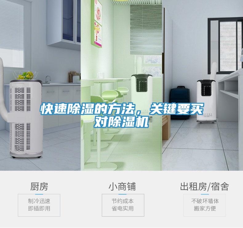 快速除濕的方法，關鍵要買對91看片软件大全