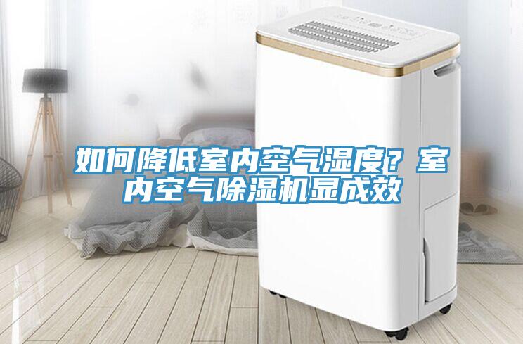如何降低室內空氣濕度？室內空氣91看片软件大全顯成效