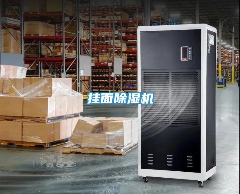 掛麵91看片软件大全