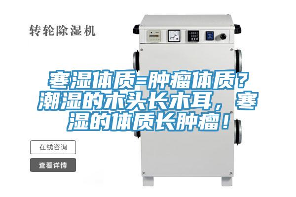 寒濕體質=腫瘤體質？潮濕的木頭長木耳，寒濕的體質長腫瘤！