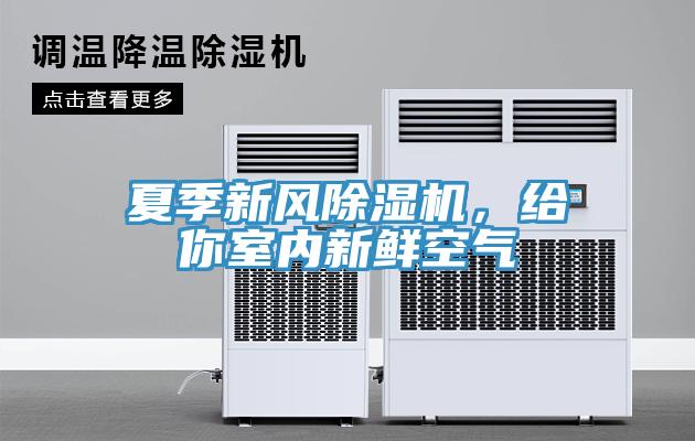 夏季新風91看片软件大全，給你室內新鮮空氣