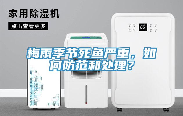梅雨季節死魚嚴重，如何防範和處理？