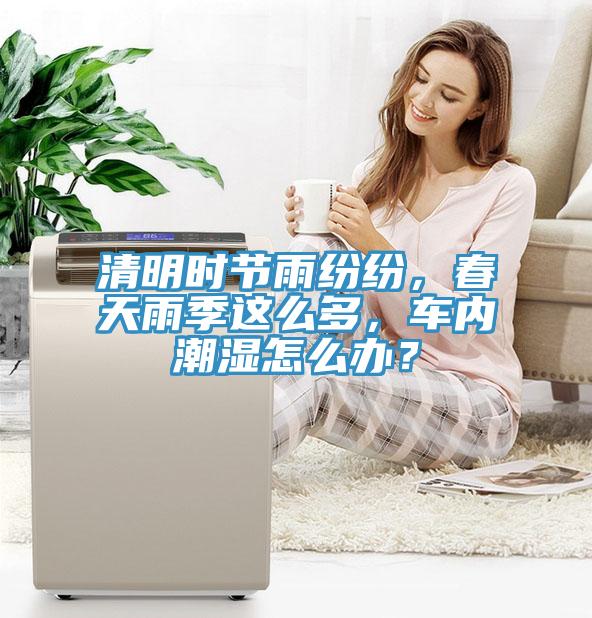清明時節雨紛紛，春天雨季這麽多，車內潮濕怎麽辦？