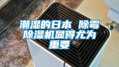 潮濕的日本 除黴91看片软件大全顯得尤為重要