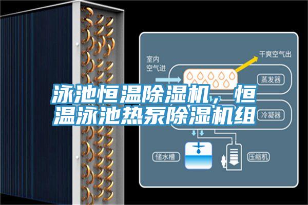 泳池恒溫91看片软件大全，恒溫泳池熱泵91看片软件大全組