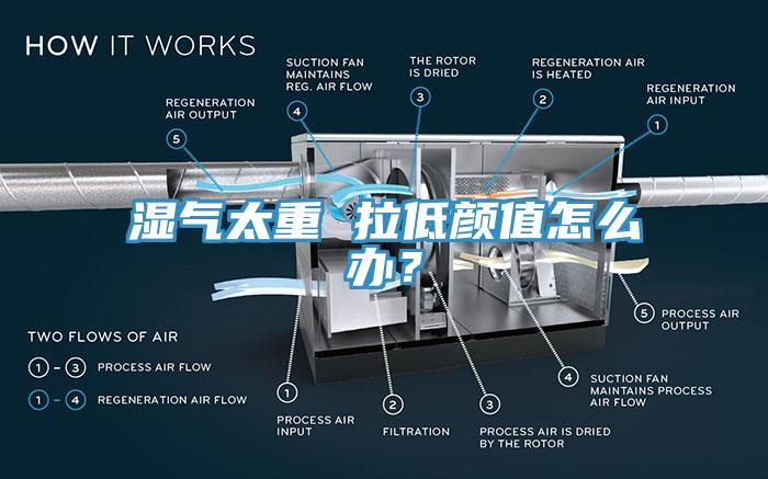 濕氣太重 拉低顏值怎麽辦？