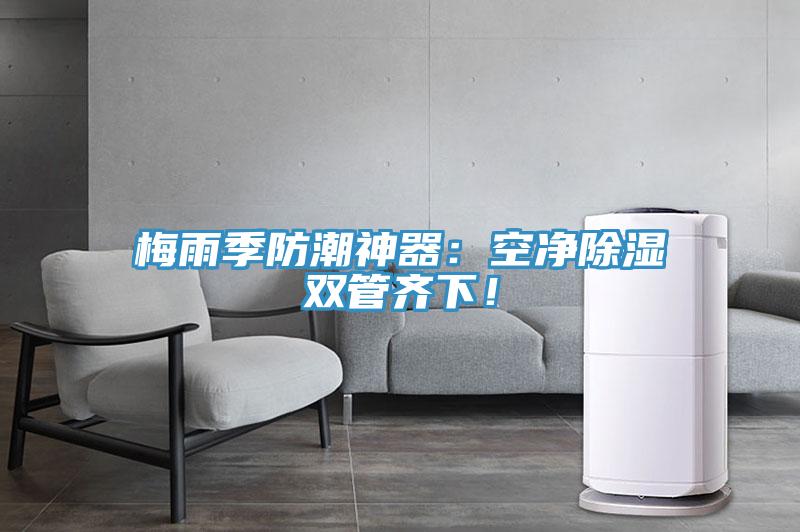 梅雨季防潮神器：空淨除濕雙管齊下！