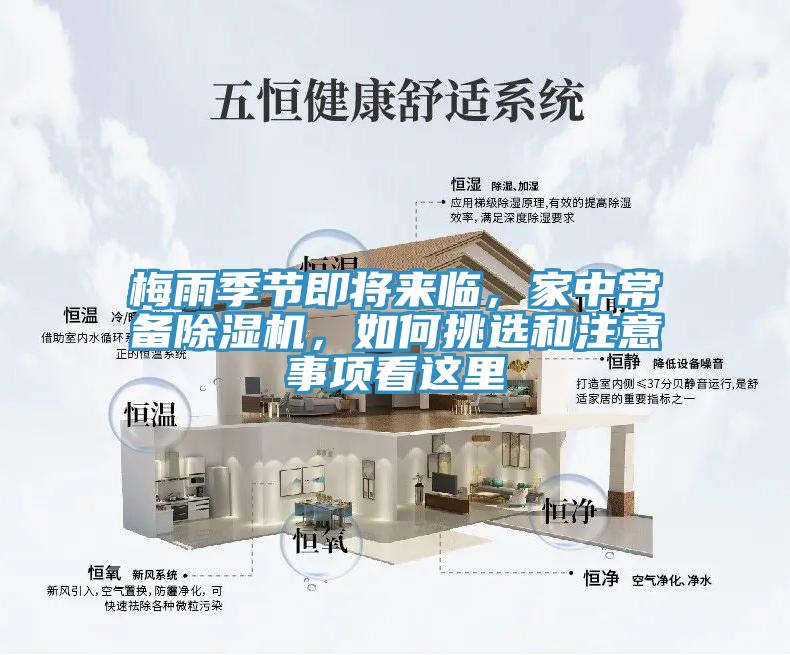 梅雨季節即將來臨，家中常備91看片软件大全，如何挑選和注意事項看這裏