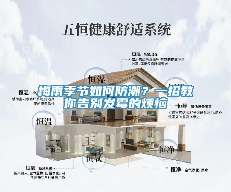 梅雨季節如何防潮？一招教你告別發黴的煩惱