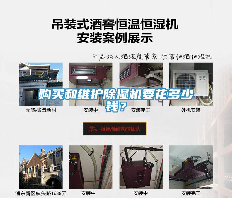 購買和維護91看片软件大全要花多少錢？