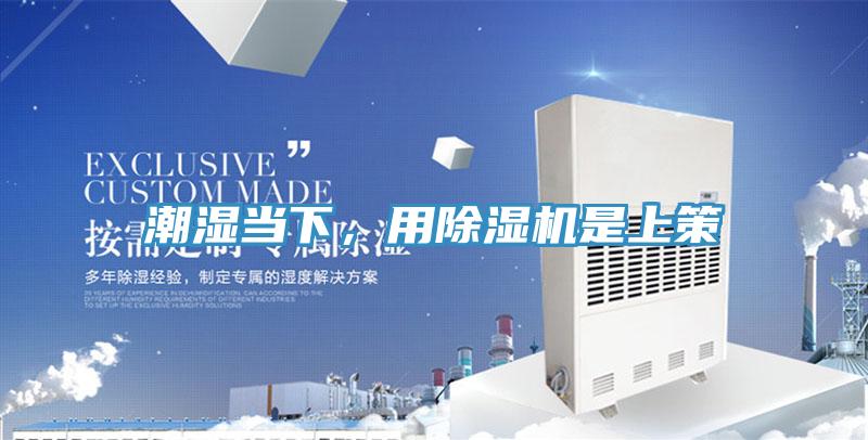 潮濕當下，用91看片软件大全是上策