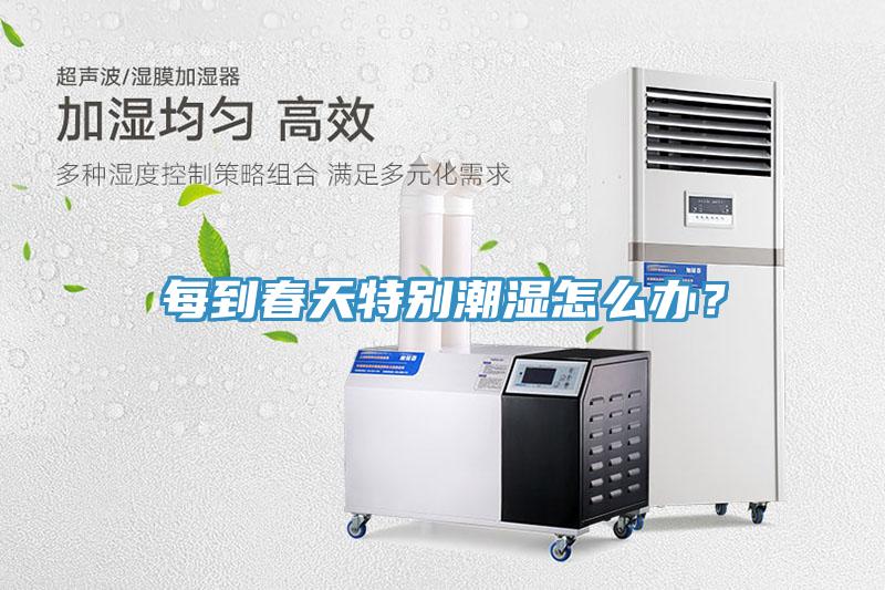 每到春天特別潮濕怎麽辦？