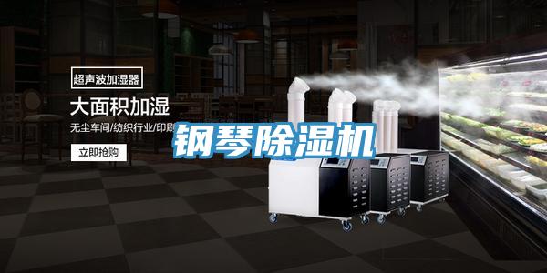 鋼琴91看片软件大全