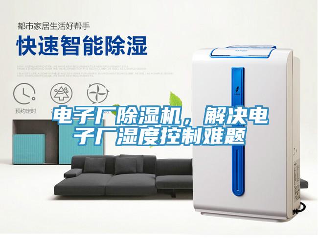 電子廠91看片软件大全，解決電子廠濕度控製難題