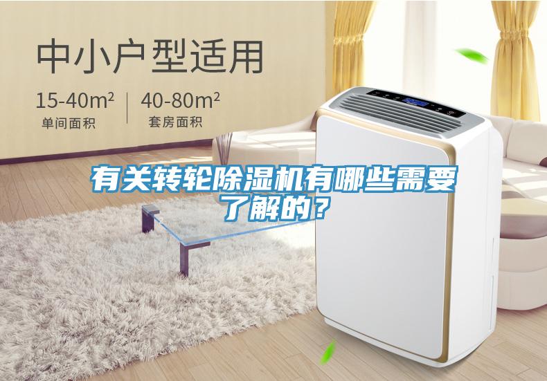 有關轉輪91看片软件大全有哪些需要了解的？