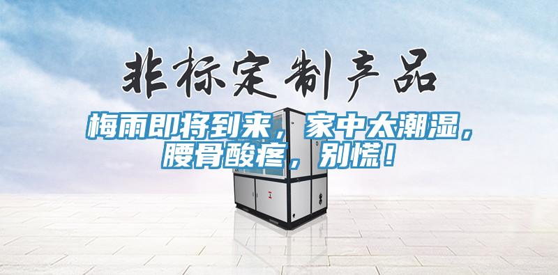 梅雨即將到來，家中太潮濕，腰骨酸疼，別慌！