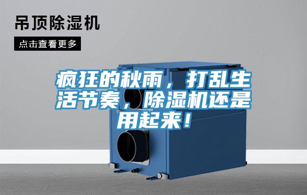 瘋狂的秋雨，打亂生活節奏，91看片软件大全還是用起來！