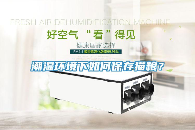 潮濕環境下如何保存貓糧？