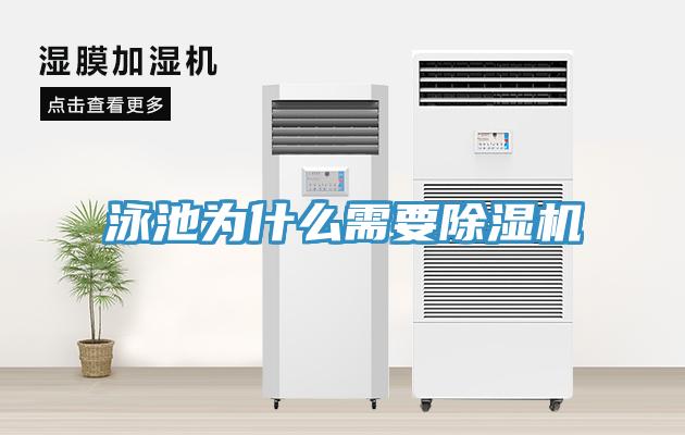 泳池為什麽需要91看片软件大全