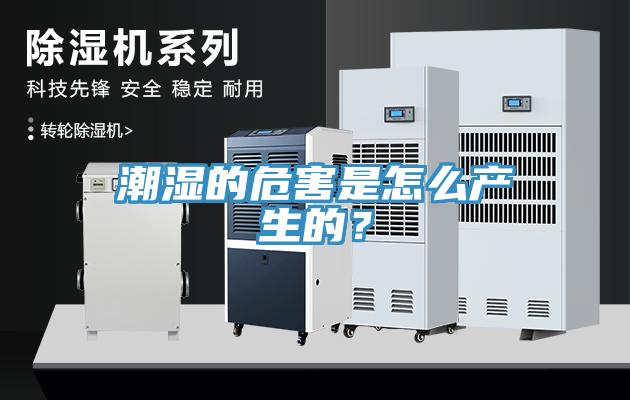 潮濕的危害是怎麽產生的？