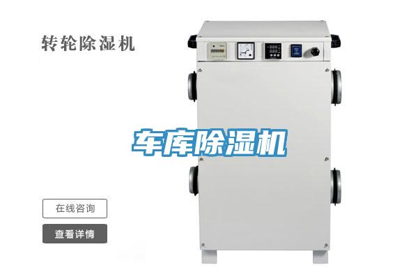 車庫91看片软件大全