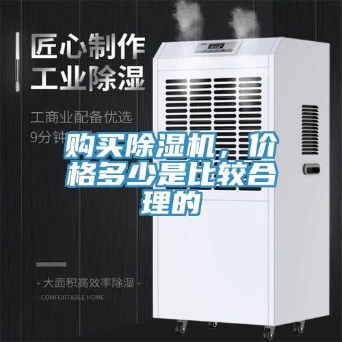 購買91看片软件大全，價格多少是比較合理的