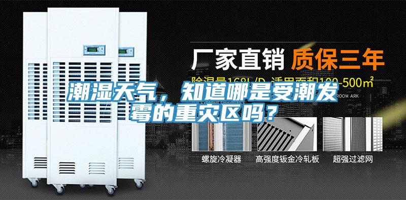 潮濕天氣，知道哪是受潮發黴的重災區嗎？