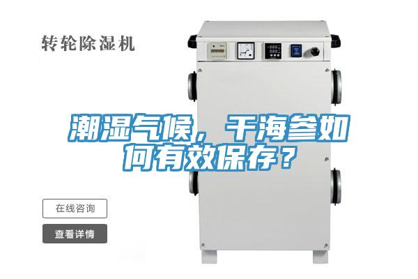 潮濕氣候，幹海參如何有效保存？