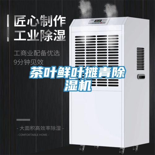 茶葉鮮葉攤青91看片软件大全