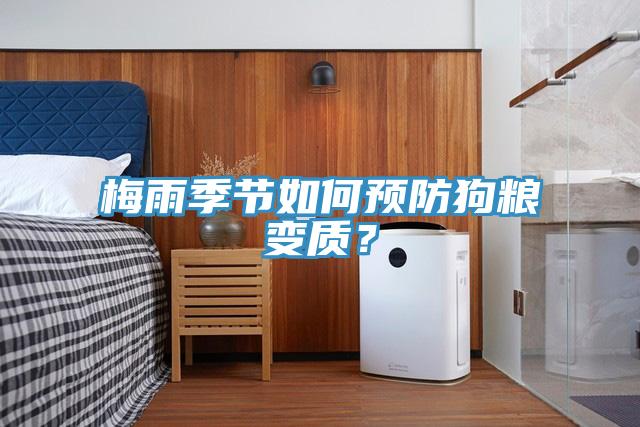 梅雨季節如何預防狗糧變質？