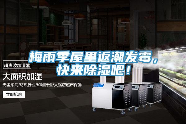 梅雨季屋裏返潮發黴，快來除濕吧！
