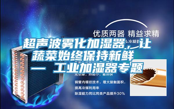 超聲波霧化加濕器，讓蔬菜始終保持新鮮 — 工業加濕器專題