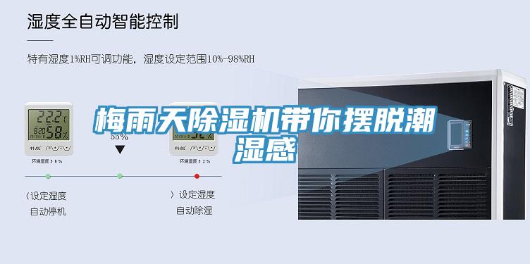 梅雨天91看片软件大全帶你擺脫潮濕感