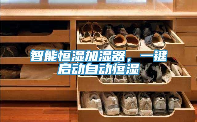 智能恒濕加濕器，一鍵啟動自動恒濕