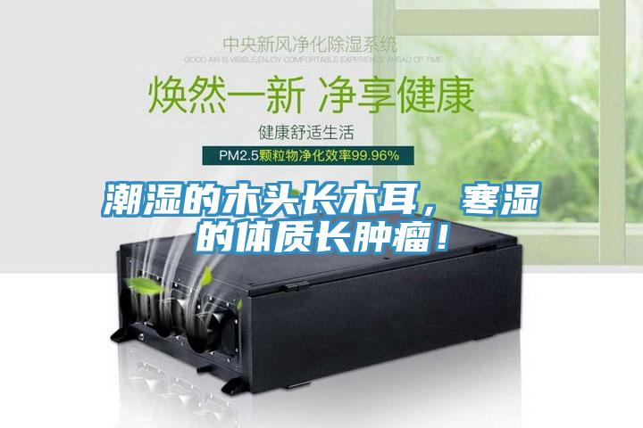 潮濕的木頭長木耳，寒濕的體質長腫瘤！