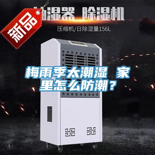 梅雨季太潮濕 家裏怎麽防潮？