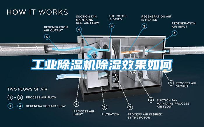 工業91看片软件大全除濕效果如何