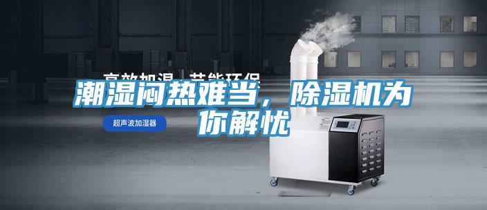 潮濕悶熱難當，91看片软件大全為你解憂