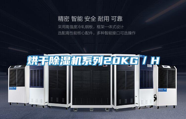 烘幹91看片软件大全係列20KG／H