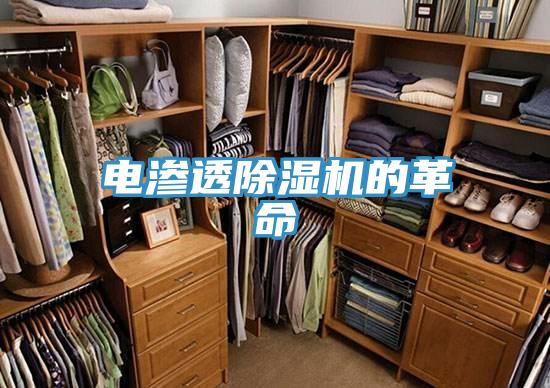 電滲透91看片软件大全的革命