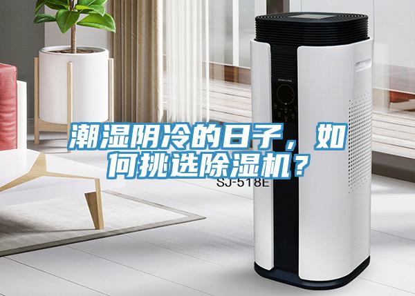潮濕陰冷的日子，如何挑選91看片软件大全？