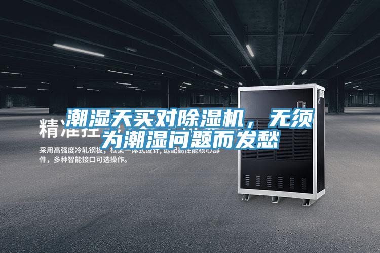 潮濕天買對91看片软件大全，無須為潮濕問題而發愁