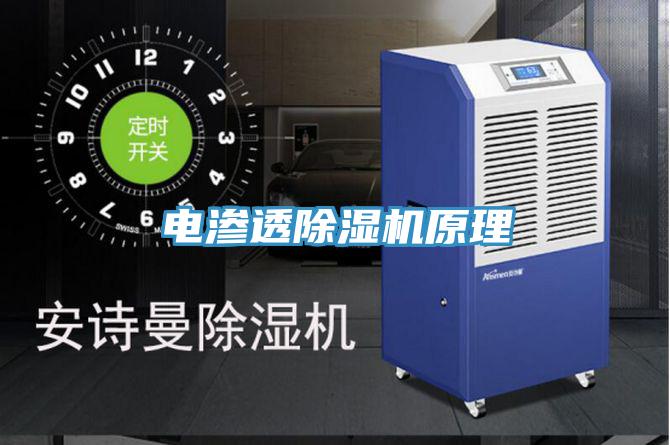 電滲透91看片软件大全原理