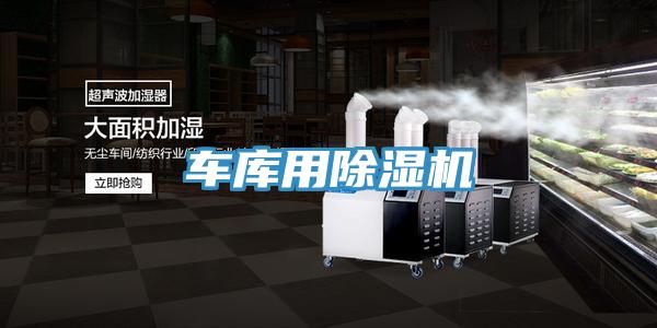 車庫用91看片软件大全