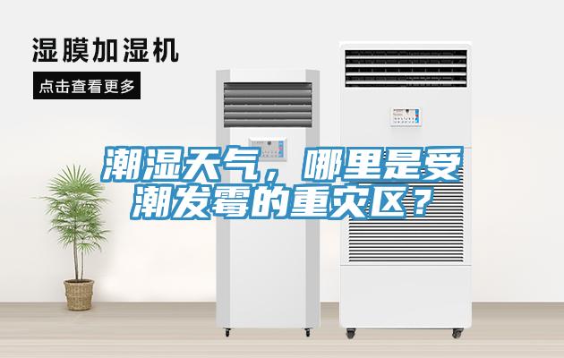 潮濕天氣，哪裏是受潮發黴的重災區？