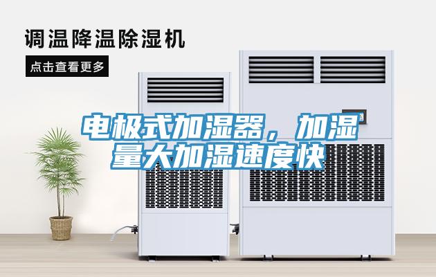 電極式加濕器，加濕量大加濕速度快